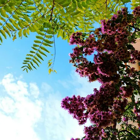 Apartament Lagom-vodice *