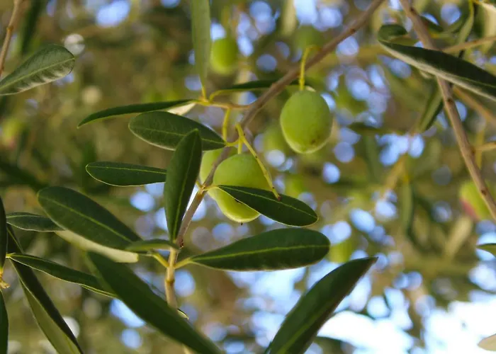 Lagom-vodice Apartamento