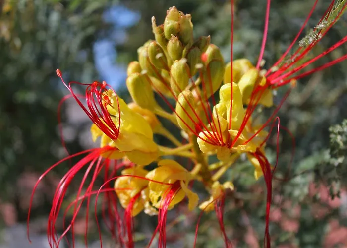 Lagom-vodice Apartamento