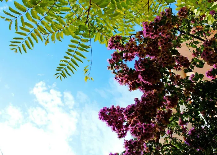 Apartamento Lagom-vodice *